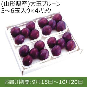 (山形県産)大玉プルーン 5〜6玉入り×4パック【限定50点】【お届け期間：9/15(日)〜10/20(日)】【ふるさとの味・北関東】