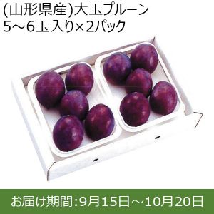 (山形県産)大玉プルーン 5〜6玉入り×2パック【限定50点】【お届け期間：9/15(日)〜10/20(日)】【ふるさとの味・北関東】