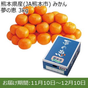 熊本県産(JA熊本市) みかん 夢の恵 3kg【限定100点】【お届け期間：11月10日〜12月10日】【おいしいお取り寄せ】