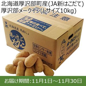 北海道厚沢部町産(JA新はこだて)厚沢部メークイン(Lサイズ10kg)【限定100点】【お届け期間:11月1日〜11月30日】【おいしいお取り寄せ】