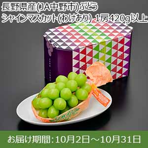 長野県産(JA中野市)ぶどう シャインマスカット(わけあり) 1房420g以上【限定200点】【お届け期間：10月2日〜10月31日】【お買い得セール9月】