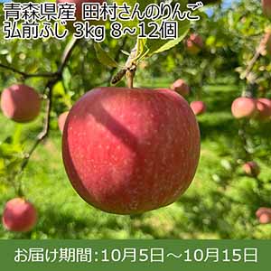 青森県産 田村さんのりんご 弘前ふじ 3kg 8~12個【限定50点】【お届け期間：10月5日〜10月15日】【お買い得セール9月】