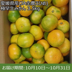 愛媛県産(JA全農えひめ) 極早生みかん 3.5kg【限定500点】【お届け期間：10月10日〜10月31日】【BUZZTTO SALE10月】