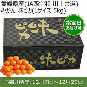 愛媛県産(JAにしうわ 川上共選)みかん 味ピカ(Lサイズ 5kg) 糖度12度 指定日お届け可【限定100点】【お届け期間:12月7日〜12月29日】【おいしいお取り寄せ】