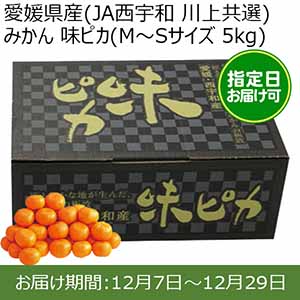 愛媛県産(JAにしうわ 川上共選)みかん 味ピカ(M〜Sサイズ 5kg) 糖度12度 指定日お届け可【限定100点】【お届け期間:12月7日〜12月29日】【おいしいお取り寄せ】