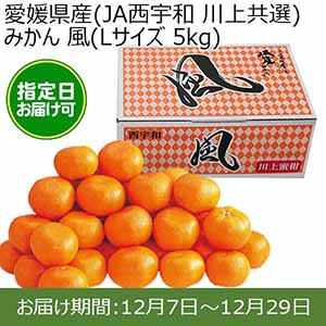 愛媛県産(JAにしうわ 川上共選)みかん 風(Lサイズ 5kg) 糖度12度 指定日お届け可【限定100点】【お届け期間:12月7日〜12月29日】【おいしいお取り寄せ】