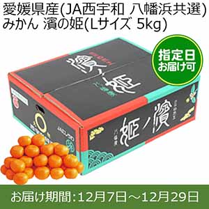 愛媛県産(JA西宇和 八幡浜共選)みかん 濱の姫(Lサイズ 5kg) 糖度13度 指定日お届け可【限定100点】【お届け期間:12月7日〜12月29日】【おいしいお取り寄せ】