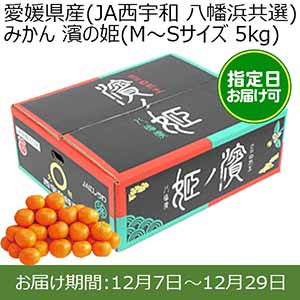 愛媛県産(JA西宇和 八幡浜共選)みかん 濱の姫(M〜Sサイズ 5kg) 糖度13度 指定日お届け可【限定100点】【お届け期間:12月7日〜12月29日】【おいしいお取り寄せ】