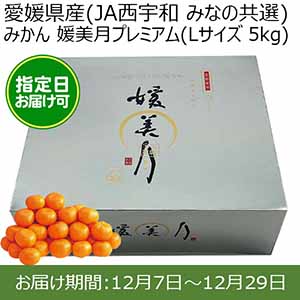 愛媛県産(JAにしうわ みなの共選)みかん 媛美月プレミアム(Lサイズ 5kg) 糖度13度 指定日お届け可【限定100点】【お届け期間:12月7日〜12月29日】【おいしいお取り寄せ】