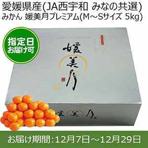 愛媛県産(JAにしうわ みなの共選)みかん 媛美月プレミアム(M〜Sサイズ 5kg) 糖度13度 指定日お届け可【限定100点】【お届け期間:12月7日〜12月29日】【おいしいお取り寄せ】