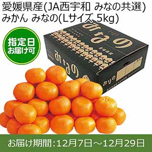 愛媛県産(JAにしうわ みなの共選)みかん みなの(Lサイズ 5kg) 糖度12度 指定日お届け可【限定100点】【お届け期間:12月7日〜12月29日】【おいしいお取り寄せ】