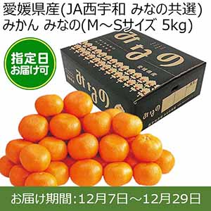 愛媛県産(JA西宇和 みなの共選)みかん みなの(M〜Sサイズ 5kg) 糖度12度 指定日お届け可【限定100点】【お届け期間:12月7日〜12月29日】【おいしいお取り寄せ】