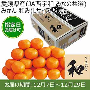 愛媛県産(JAにしうわ みなの共選)みかん 和み(Lサイズ 5kg) 糖度12度 指定日お届け可【限定100点】【お届け期間:12月7日〜12月29日】【おいしいお取り寄せ】