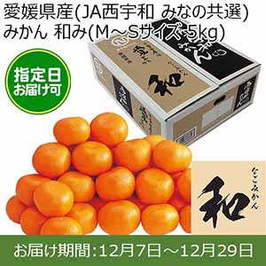 愛媛県産(JA西宇和 みなの共選)みかん 和み(M〜Sサイズ 5kg) 糖度12度 指定日お届け可【限定100点】【お届け期間:12月7日〜12月29日】【おいしいお取り寄せ】