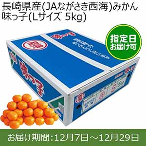 長崎県産(JAながさき西海)みかん 味っ子(Lサイズ 5kg) 糖度13度 指定日お届け可【限定100点】【お届け期間:12月7日〜12月29日】【おいしいお取り寄せ】