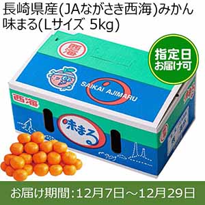 長崎県産(JAながさき西海)みかん 味まる(Lサイズ 5kg) 糖度12度 指定日お届け可【限定100点】【お届け期間:12月7日〜12月29日】【おいしいお取り寄せ】