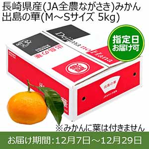 長崎県産(JA全農ながさき)みかん 出島の華(M〜Sサイズ 5kg) 糖度14度 指定日お届け可【限定100点】【お届け期間:12月7日〜12月29日】【おいしいお取り寄せ】