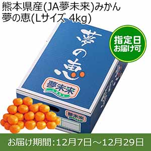 熊本県産(JA夢未来)みかん 夢の恵(Lサイズ 4kg) 糖度12度　指定日お届け可【限定100点】【お届け期間:12月7日〜12月29日】【おいしいお取り寄せ】