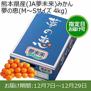 熊本県産(JA夢未来)みかん 夢の恵(M〜Sサイズ 4kg) 糖度12度 指定日お届け可【限定100点】【お届け期間:12月7日〜12月29日】【おいしいお取り寄せ】