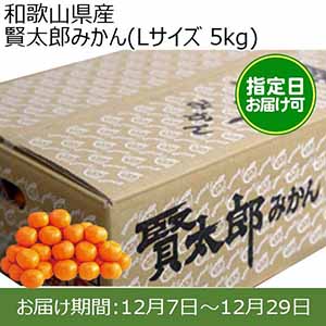 和歌山県産 賢太郎みかん(Lサイズ 5kg) 指定日お届け可【限定100点】【お届け期間:12月7日〜12月29日】【おいしいお取り寄せ】