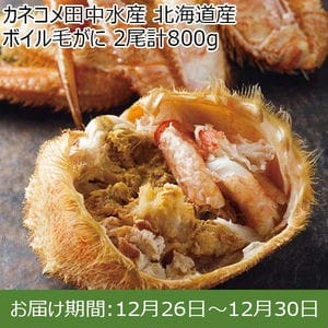 カネコメ田中水産 北海道産 ボイル毛がに 2尾計800g【限定100点】【お届け期間：12月26日〜12月30日】【年末年始ごちそう特集】