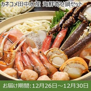 カネコメ田中水産 海鮮寄せ鍋セット【お届け期間：12月26日〜12月30日】【年末年始ごちそう特集】