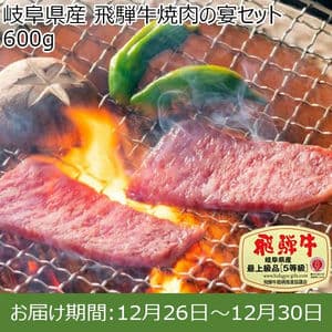 岐阜県産 飛騨牛焼肉の宴セット 600g【お届け期間：12月26日〜12月30日】【年末年始ごちそう特集】