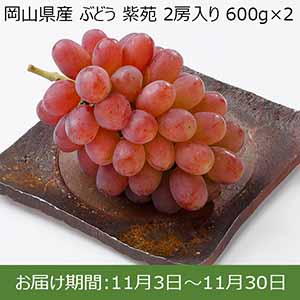 岡山県産 ぶどう 紫苑 2房入り 600g×2【限定200点】【お届け期間：11月3日〜11月30日】【イオンカード会員限定11月】