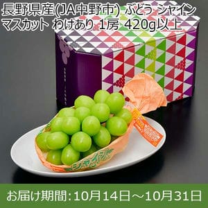 長野県産(JA中野市) ぶどう シャインマスカット わけあり 1房 420g以上【限定300点】【お届け期間：10月14日〜10月31日】【BUZZTTO SALE10月】