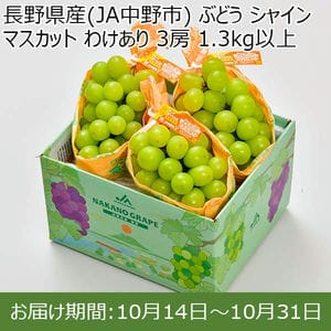 長野県産(JA中野市) ぶどう シャインマスカット わけあり 3房 1.3kg以上【限定200点】【お届け期間：10月14日〜10月31日】【BUZZTTO SALE10月】