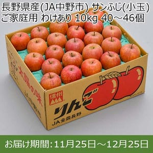 長野県産(JA中野市) りんご サンふじ(小玉) ご家庭用 わけあり 10kg 40〜46個【限定300点】【お届け期間：11月25日〜12月25日】【BUZZTTO SALE10月】