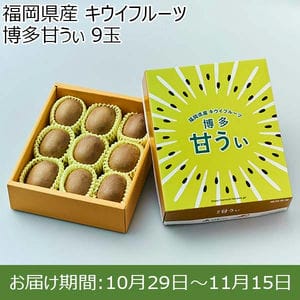 福岡県産 キウイフルーツ 博多甘うぃ  9玉【お届け期間：10月29日〜11月15日】【BUZZTTO SALE10月】