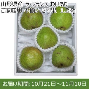 山形県産 ラ・フランス わけあり ご家庭用 不揃い きず果  1.2kg【お届け期間：10月21日〜11月10日】【BUZZTTO SALE10月】