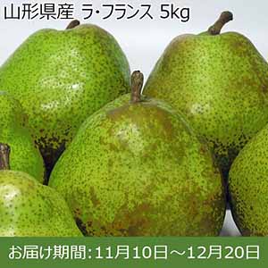 山形県産 ラ・フランス 5kg【限定100点】【お届け期間：11月10日〜12月20日】【イオンカード会員限定】