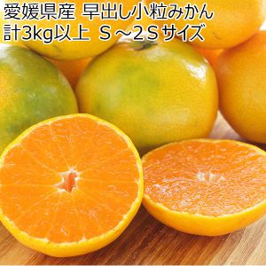 愛媛県産 早出し小粒みかん　計3kg以上 Ｓ〜2Ｓサイズ【限定500点】【お届け期間:10月8日〜10月25日】【BUZZTTO SALE10月】【ふるさとの味・中四国】