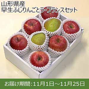 山形県産 早生ふじりんごとラ・フランスセット【限定100点】【お届け期間：11月1日〜11月25日】【イオンカード会員限定11月】