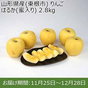 山形県産(東根市) りんご はるか(蜜入り) 2.8kg【限定100点】【お届け期間：11月25日〜12月28日】【イオンカード会員限定11月】