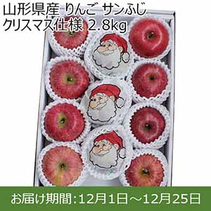 山形県産 りんご サンふじ クリスマス仕様 2.8kg【限定100点】【お届け期間：12月1日〜12月25日】【イオンカード会員限定】