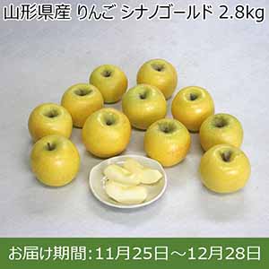 山形県産 りんご シナノゴールド 2.8kg【限定100点】【お届け期間：11月25日〜12月28日】【イオンカード会員限定11月】