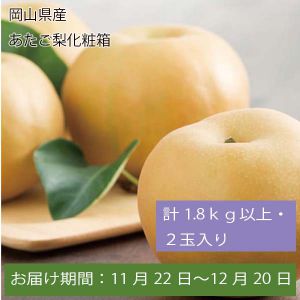 岡山県産 あたご梨化粧箱 計1.8kg以上・2玉入【お届け期間:11月22日〜12月20日】【ふるさとの味・中四国】