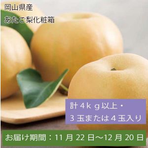 岡山県産 あたご梨化粧箱 計4kg以上・3玉または4玉入【お届け期間:11月22日〜12月20日】【ふるさとの味・中四国】