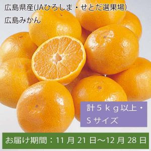 広島県産(JAひろしま・せとだ選果場)広島みかん 計5kg以上・Sサイズ【お届け期間:11月21日〜12月28日】【ふるさとの味・中四国】