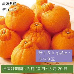 愛媛県産 デコポン 計1.5kg以上・5〜9玉【お届け期間:2月10日〜3月20日】【ふるさとの味・中四国】