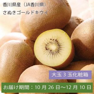 香川県産(JA香川県)さぬきゴールドキウイ 大玉3玉化粧箱【お届け期間:10月26日〜12月10日】【ふるさとの味・中四国】