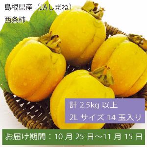 島根県産(JAしまね)西条柿 計2.5kg以上2Lサイズ14玉入り 【お届け期間:10月25日〜11月15日】 【ふるさとの味・中四国】