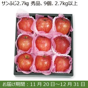 山形県産 サンふじ(秀品 9個 計2.7kg以上)【お届け期間：11/20(水)〜12/31(火)】【ふるさとの味・南関東】