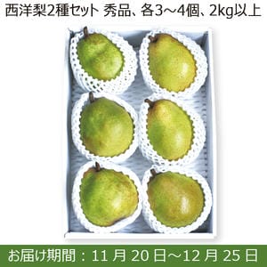 山形県産 西洋梨2種セット(秀品 各3〜4個 2kg以上)【お届け期間：11/20(水)〜12/25(水)】【ふるさとの味・南関東】