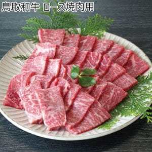 鳥取県 鳥取和牛ロース焼肉用　500g【冬ギフト・お歳暮】【ふるさとの味・中四国】