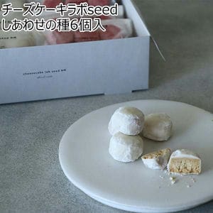 チーズケーキラボseed しあわせの種6個入【おいしいお取り寄せ】