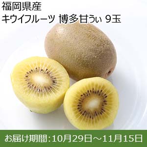 福岡県産 キウイフルーツ 博多甘うぃ 9玉 【お届け期間：10月29日〜11月15日】【お買い得セール10月】